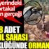 ﻿Yangın yerindeki Fatih Portakal saklanan gerçeği açıkladı