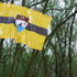 Avrupa'da 'Liberland' adında yeni bir devlet kuruldu