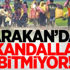 Şimdi de Arakanlıların mahsullerini topluyorlar