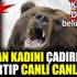 ﻿Çadırında uyuyan kadını canlı canlı yedi