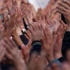 Saadet Partisi'nden 'toprak', LDP'den 'bireysel' haklar Saadet Partisi'nden 'toprak', LDP'den 'bireysel' haklar