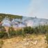 Denizli’de orman yangını: Havadan ve karadan müdahale ediliyor