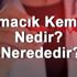 Elmacık Kemiği Nedir? Nerededir? Elmacık Kemiği Ağrısı, ...