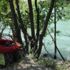 Munzur Nehri'ne düşen Engin'den iz yok Munzur Nehri'ne düşen Engin'den iz yok
