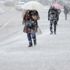 Bitlis ve Muş için kuvvetli kar yağışı uyarısı yapıldı
