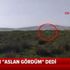 O ilimizde aslan paniği sürüyor! Vatandaşlar konuştu |Video O ilimizde aslan paniği sürüyor! Vatandaşlar konuştu |Video