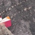 Fransa'daki Germanwings kazasında intihar şüphesi