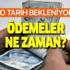 Mazot ve gübre desteği ödemeleri ne zaman yatacak? 2021 gübre mazot desteği ödeme tarihleri! Çeltik, nadas...