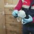 İstanbul’da maske operasyonu! 11 bin filtreli maske ele geçirildi İstanbul’da maske operasyonu! 11 bin filtreli maske ele geçirildi