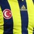 Fenerbahçe'de kritik karar! Kupada...