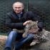 Putin'in doğaya salınan leoparı ölü bulundu
