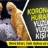 Koronavirüs hurafeleri yüzünden yüzlerce kişi öldü! Deve idrarı, inek dışkısı ve alkol içenler... Koronavirüs hurafeleri yüzünden yüzlerce kişi öldü! Deve idrarı, inek dışkısı ve alkol içenler...