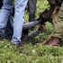 İsrailli askerlerlerden köpekli işkence