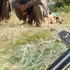 2 günde 41 PKK'lı terörist öldürüldü 2 günde 41 PKK'lı terörist öldürüldü