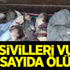 BM doğruladı! ABD sivilleri vurdu, çok sayıda ölü var BM doğruladı! ABD sivilleri vurdu, çok sayıda ölü var