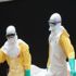 Yeni bir tür Ebola virüsü keşfedildi