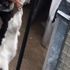 Fransa’da köpeğini döven kişiye 6 ay hapis