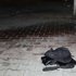 Alibeyköy'de bomba paniği Alibeyköy'de bomba paniği