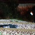 Sakarya'da feci kaza: 2 ölü Sakarya'da feci kaza: 2 ölü