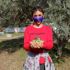 Özel öğrencilerden zeytin hasadı Özel öğrencilerden zeytin hasadı