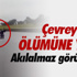 Dünyada İlgi Çeken Fotoğraf Kareleri Bursafotofest’te