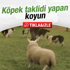 Üç ilde 13 terörist öldürüldü Üç ilde 13 terörist öldürüldü