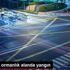Pendik te ormanlık alanda yangın