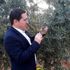 Zeytin de pamuklu bite karşı ilaçlanma önerisi Zeytin de pamuklu bite karşı ilaçlanma önerisi