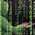 ABD'de dev hat "Hack"lendi ABD'de dev hat "Hack"lendi