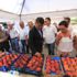 Selçuk Efe'te şeftali bayramı