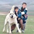 2014'te sinemamızın hâl-i pürmelâli