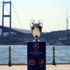 UEFA duyurdu: Final Portekiz'de UEFA duyurdu: Final Portekiz'de