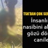 Genelkurmay'dan şehit korucu ile ilgili sert açıklama! Genelkurmay'dan şehit korucu ile ilgili sert açıklama!