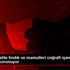 Giresun kalite fındık ve mamulleri coğrafi işaret ...