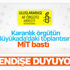 ABD'nin Af Örgütü endişesi