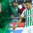 Galatasaray'ın hedefi Jahovic! Galatasaray'ın hedefi Jahovic!