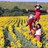 Trakya'da 'agro turizmi' atağı