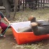 Yavru filin ilk banyo macerası