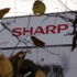 Foxconn Sharp’ı bünyesine kattı