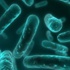 Uzmanlar uyardı: Antibiyotik kıyametin eşiğindeyiz