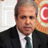 Şamil Tayyar: Kılıçdaroğlu o koltukta oturamaz