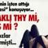 Milas Zeytin Hasat Şenliği
