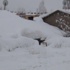 Bitlis’te 103 Köy Yolu Ulaşıma Kapalı