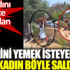 ﻿Köpeğini yemek isteyen ayıya kadın böyle saldırdı