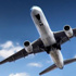 Pilotların korkulu rüyası oldular Pilotların korkulu rüyası oldular