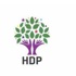 YSK, HDP'nin adayını veto etti