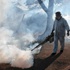 Zika virüsü Venezuela'da 3 can aldı