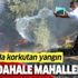 Bodrum'da korkutan yangın! İlk müdahaleyi mahalleli yaptı