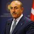 Çavuşoğlu: Litvanya-Beluras arasındaki göçmen krizi için desteğe hazırız