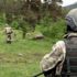 PKK'lı teröristlere ait 3 katlı 5 odalı sığınak bulundu